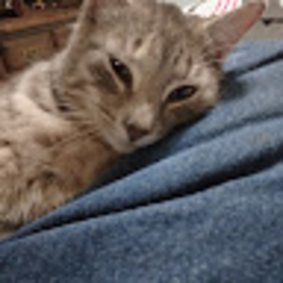 Meet your Posher, Michael - Picture 1 of 1